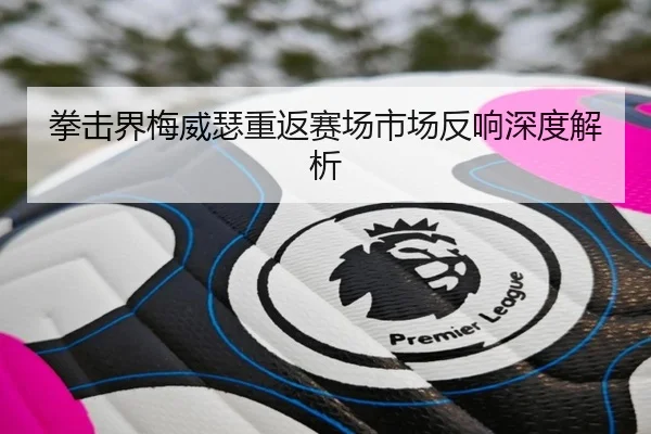 拳击界梅威瑟重返赛场市场反响深度解析